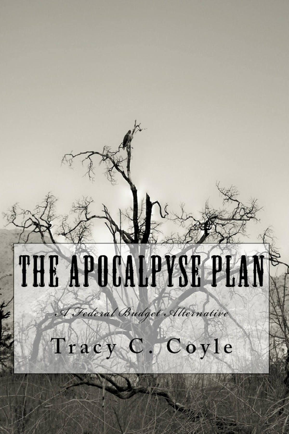 The Apocalypse Plan cover
